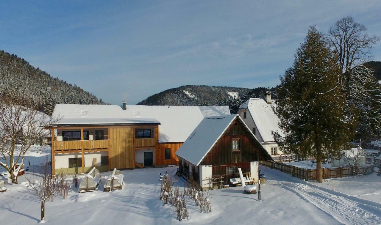 Ferienwohnungen Orth Lassing  エクステリア 写真